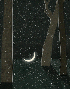12.18.10.gif