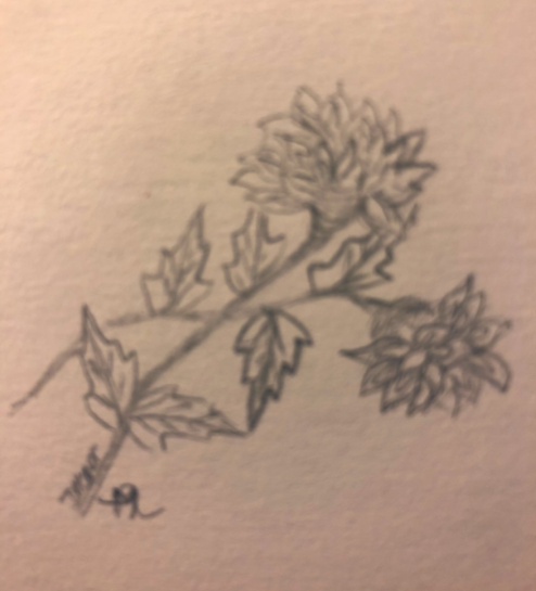 Flowers and cards