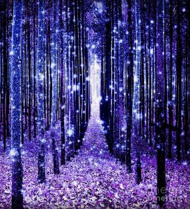 forest.wow.4.jpg